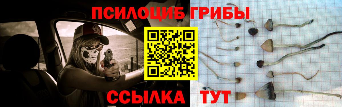 Псилоцибиновые грибы GOLDEN TEACHER Кириши